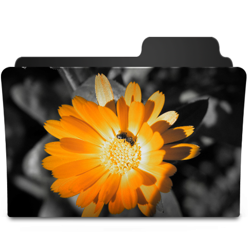 Flower Orange Icon 512x512 png
